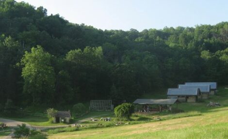 A Successful, Sustainable Forest Image